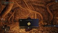 A player has found the Talisman in the chest (Image via FromSoftware Inc.)